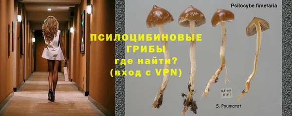 первитин Осташков