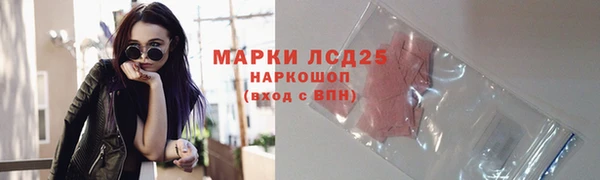 мет Алексин
