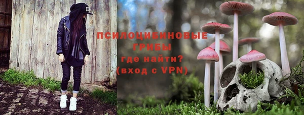 мет Алексин