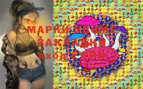 мет Алексин