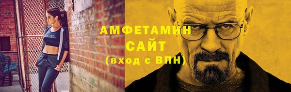 мет Алексин